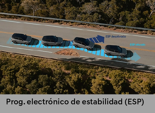 Nueva Creta - Seguridad