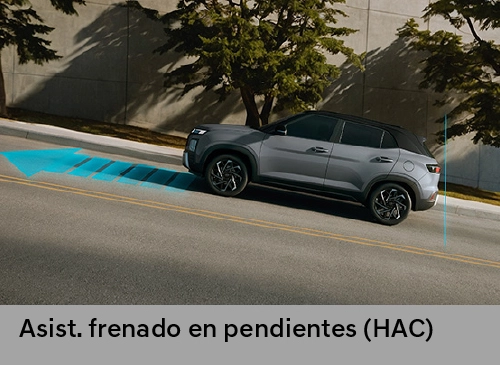 Nueva Creta - Seguridad